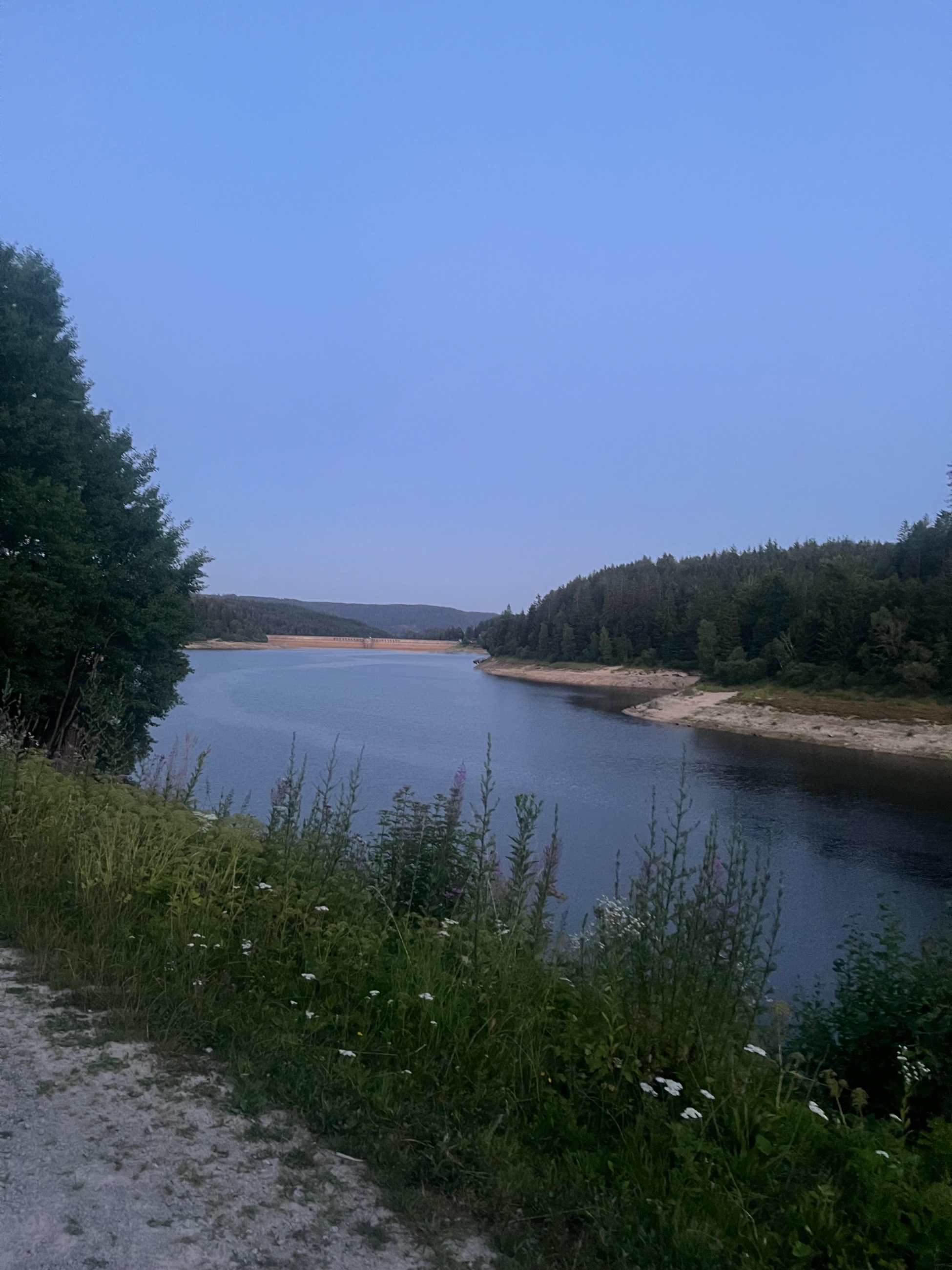 IMG_9582.jpeg