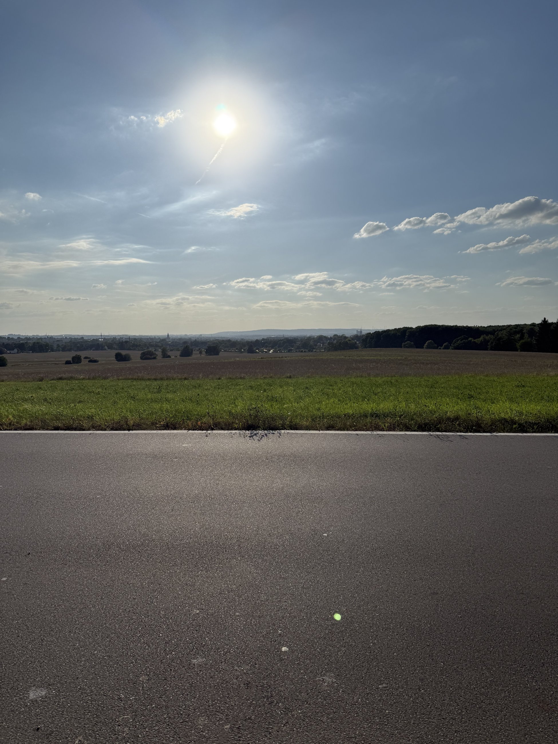 IMG_9587.jpeg