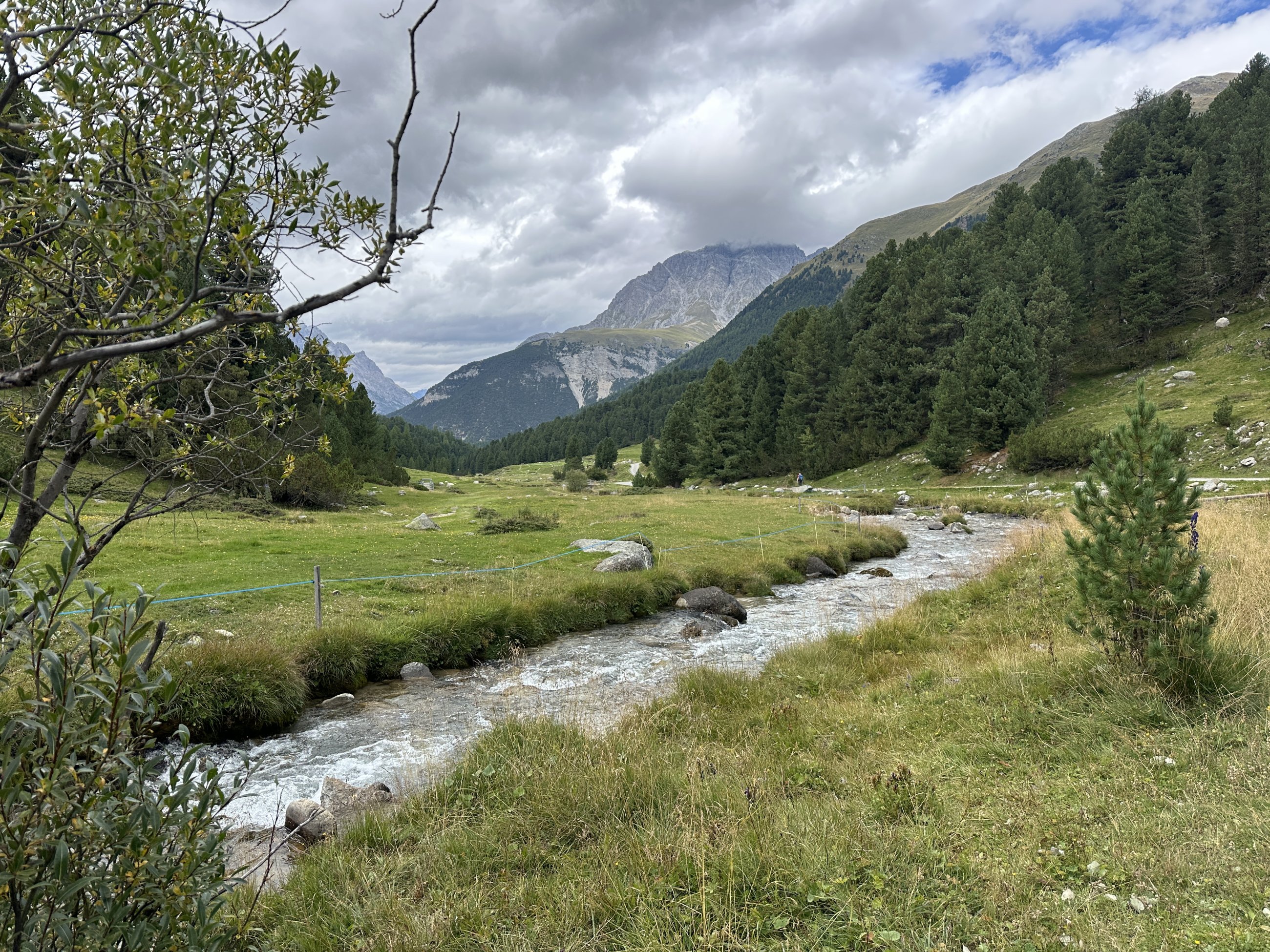 IMG_9700.jpeg