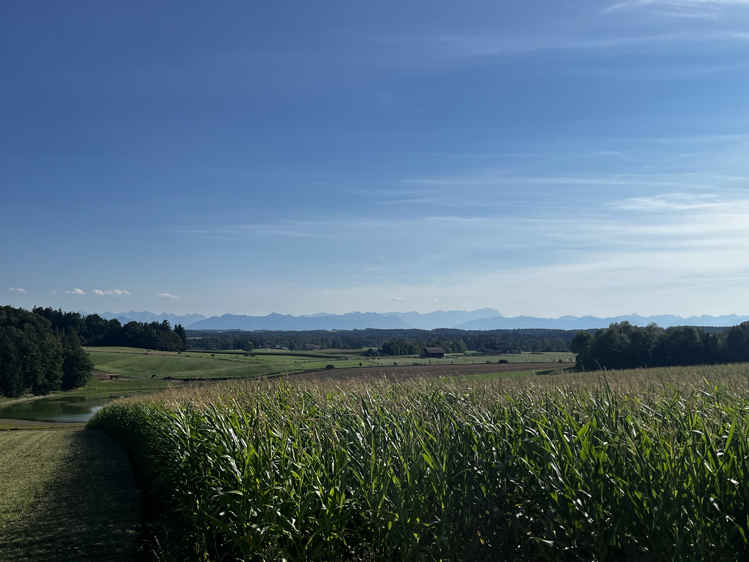 IMG_9706.jpeg