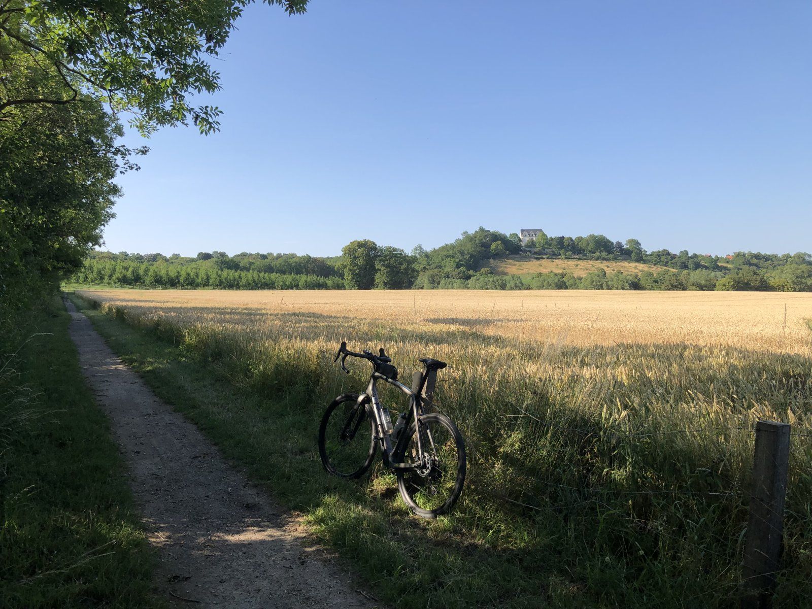 IMG_9709.jpeg