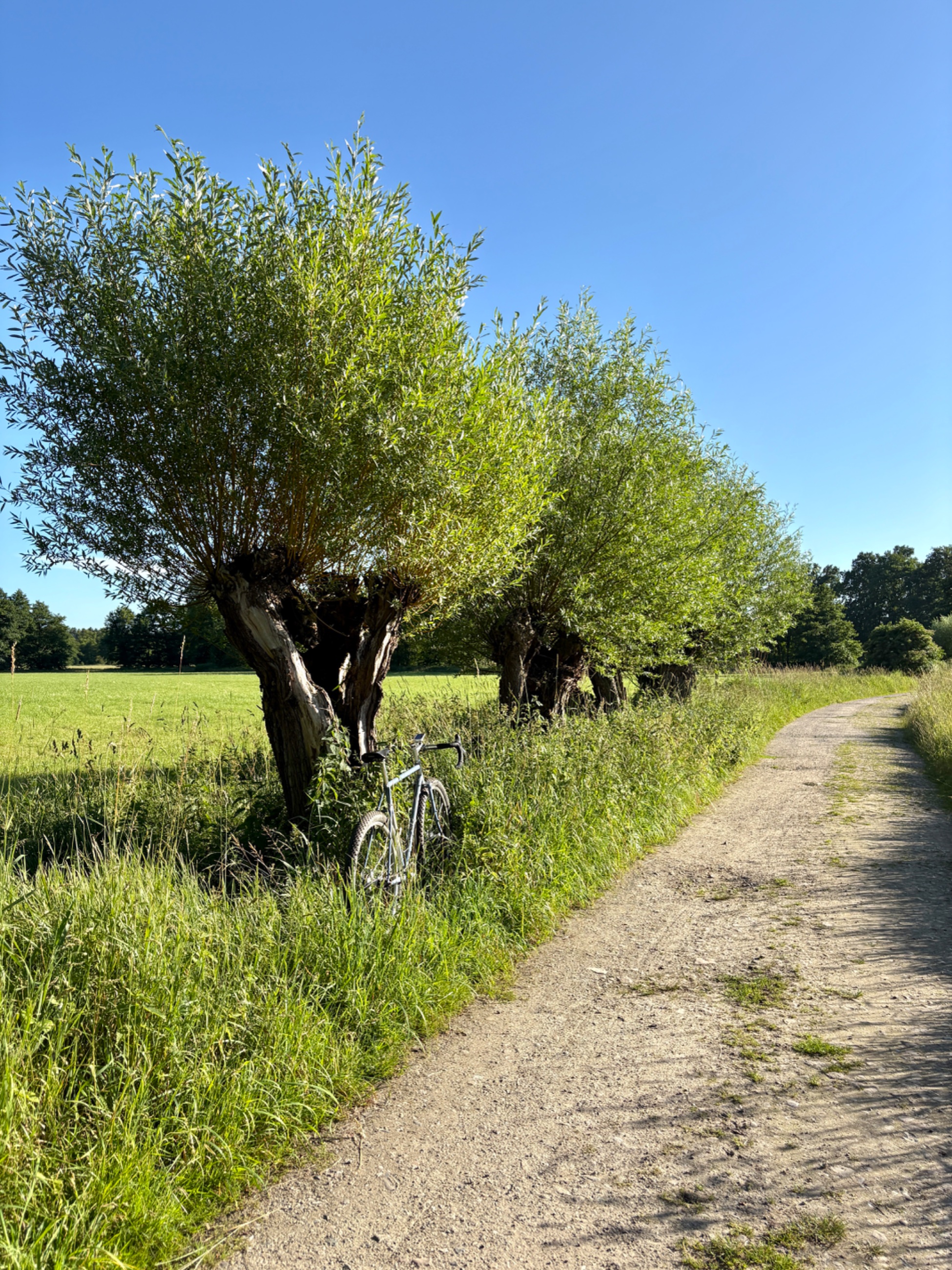 IMG_9975.jpeg