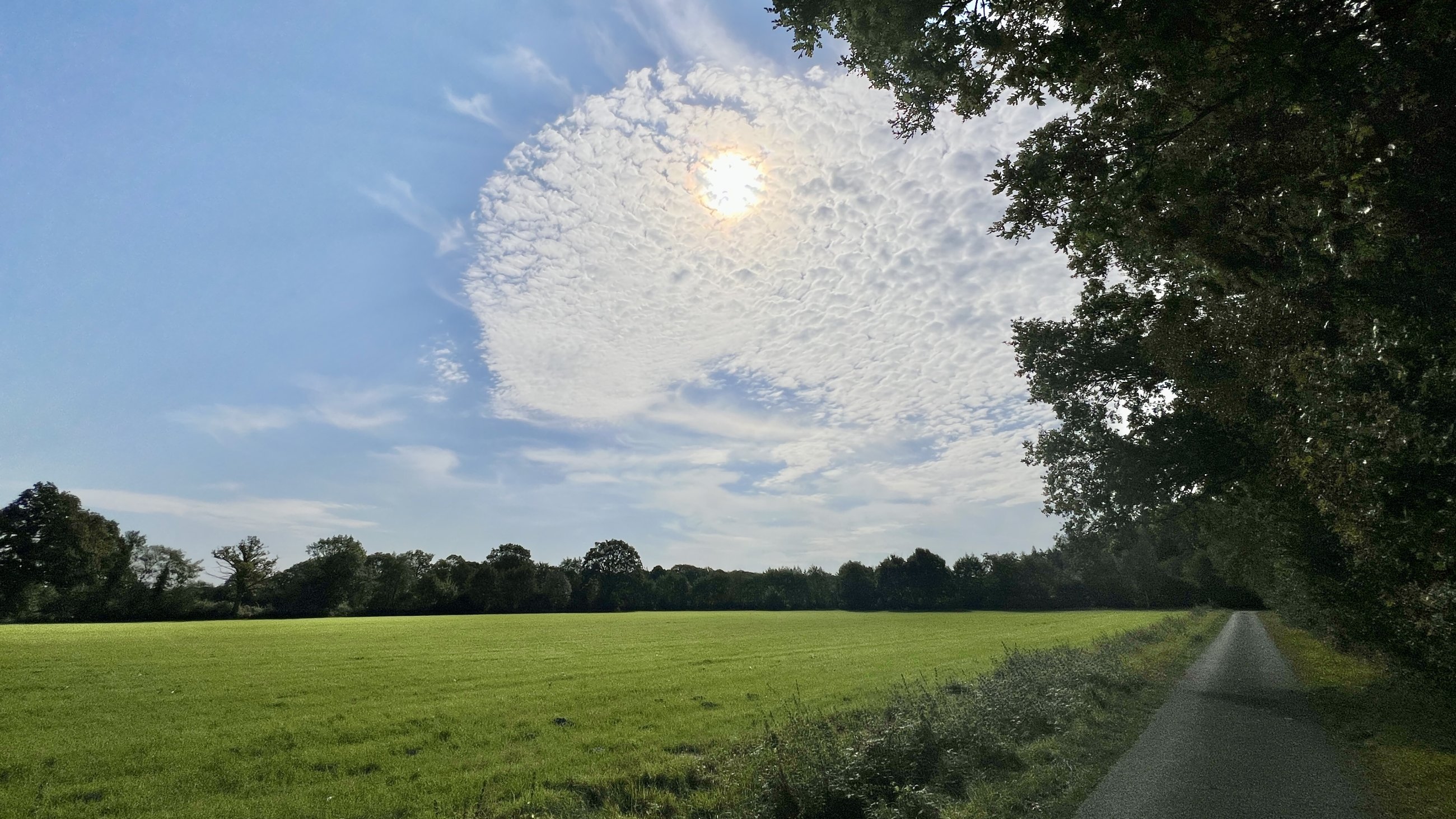IMG_9993.JPEG