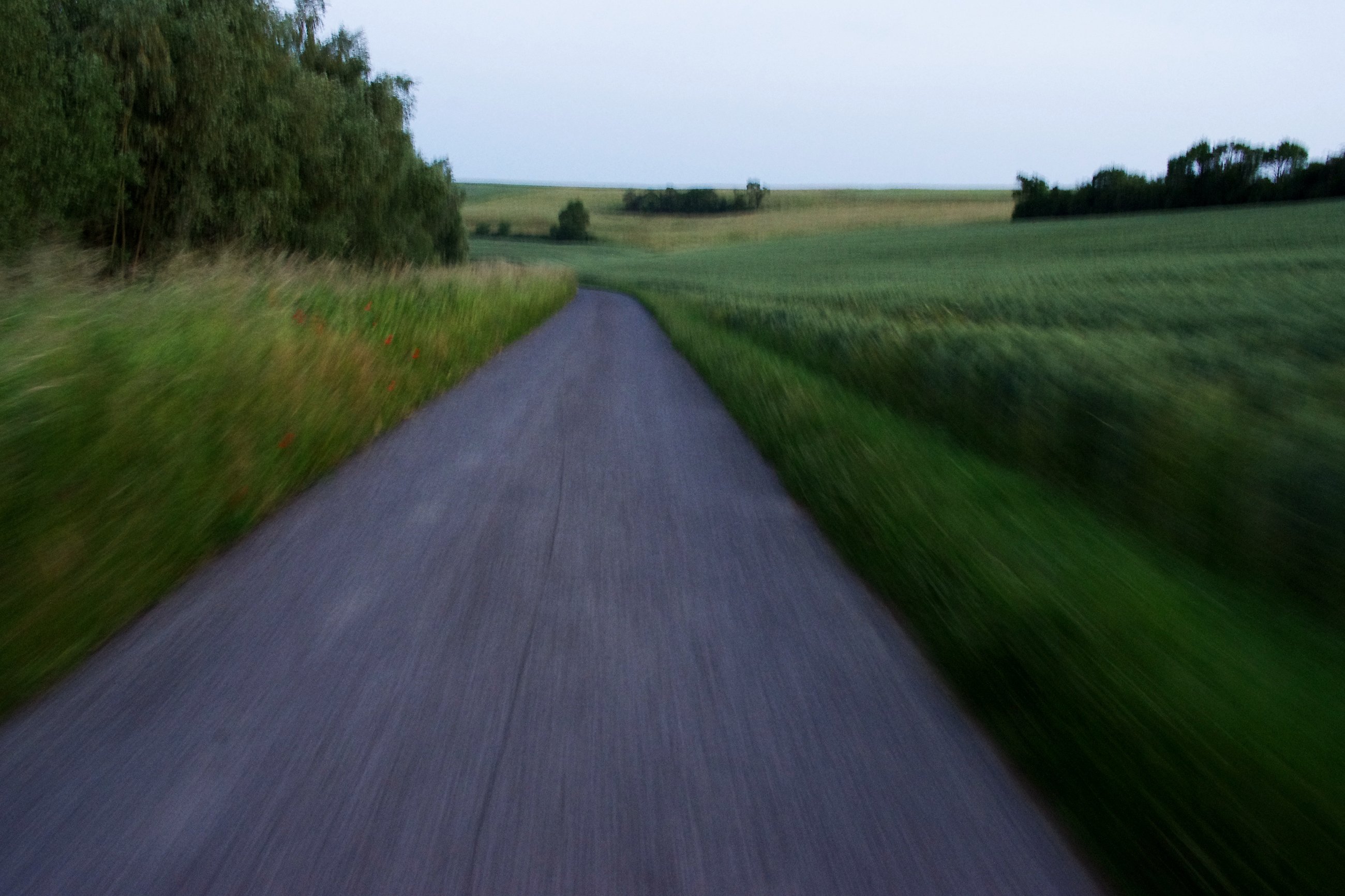 imgp0272.jpg
