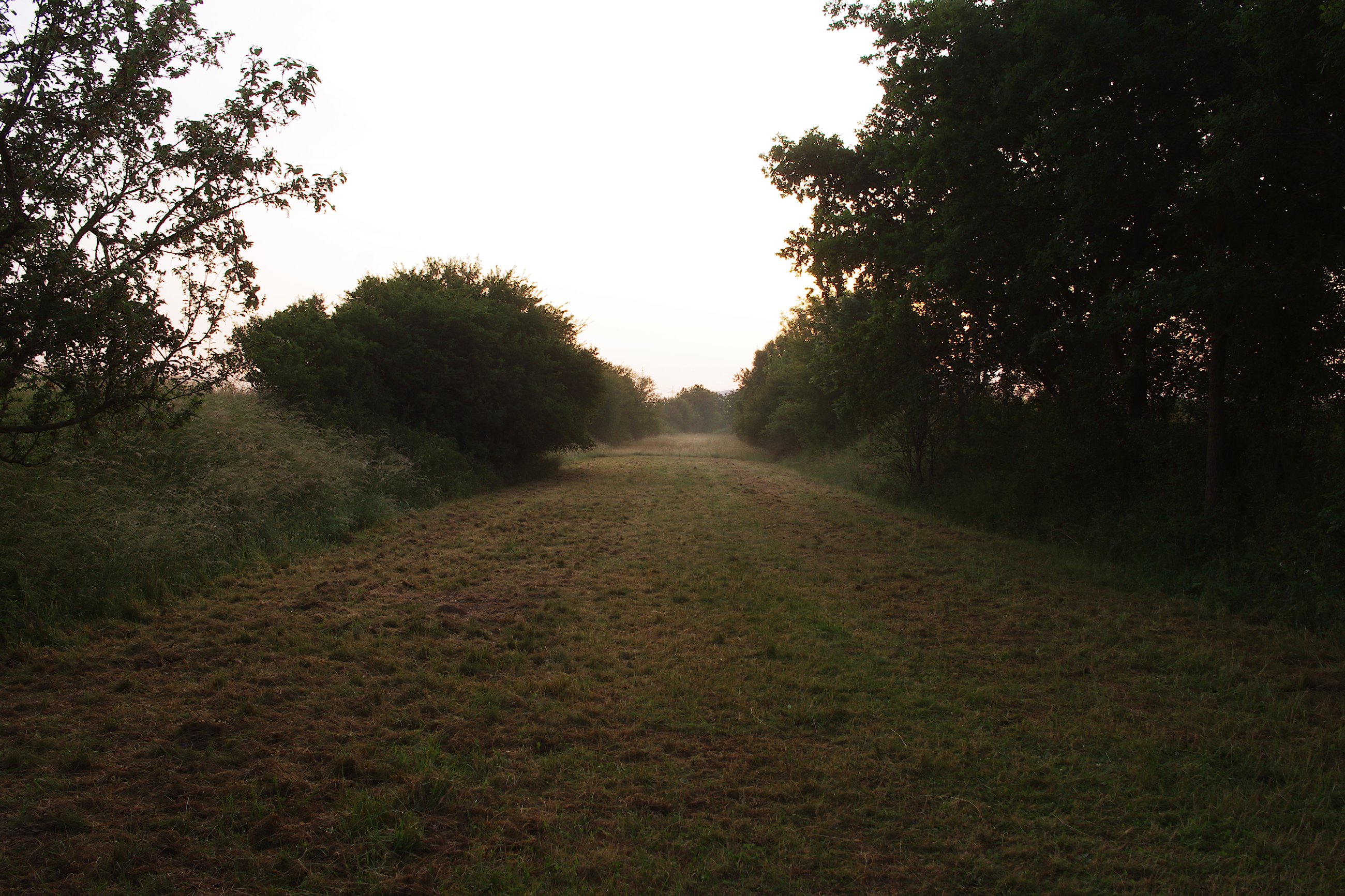 imgp0285.jpg