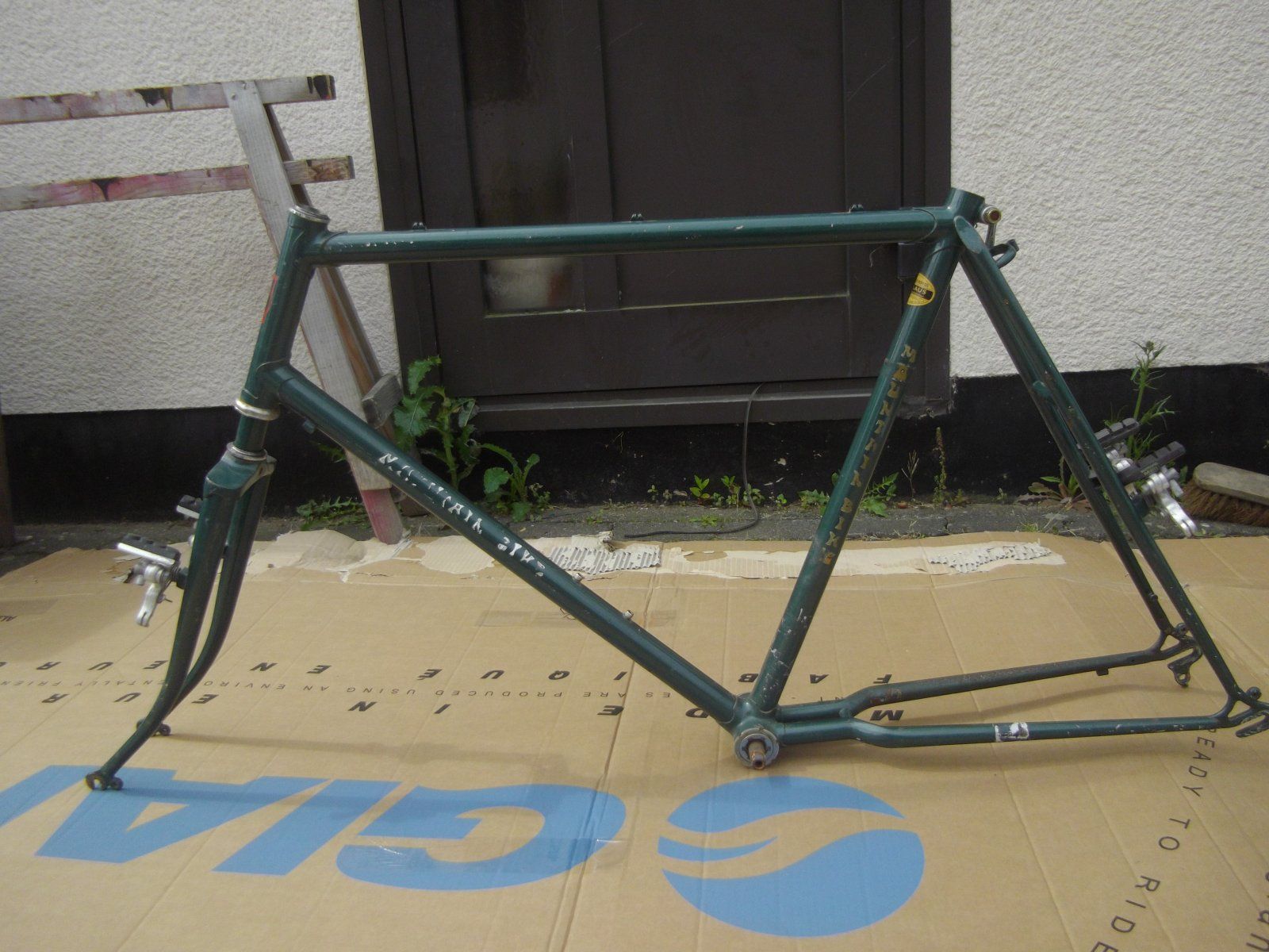 IMGP5090.JPG