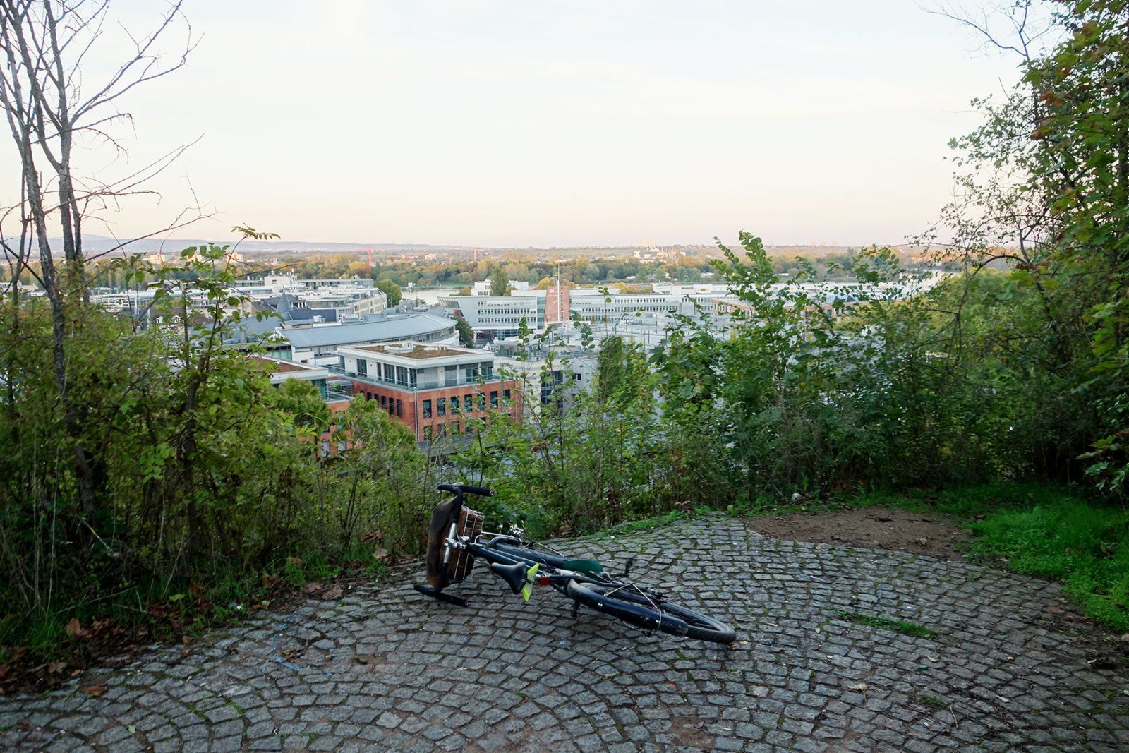 irgendwosiehtmandenrhein.jpg