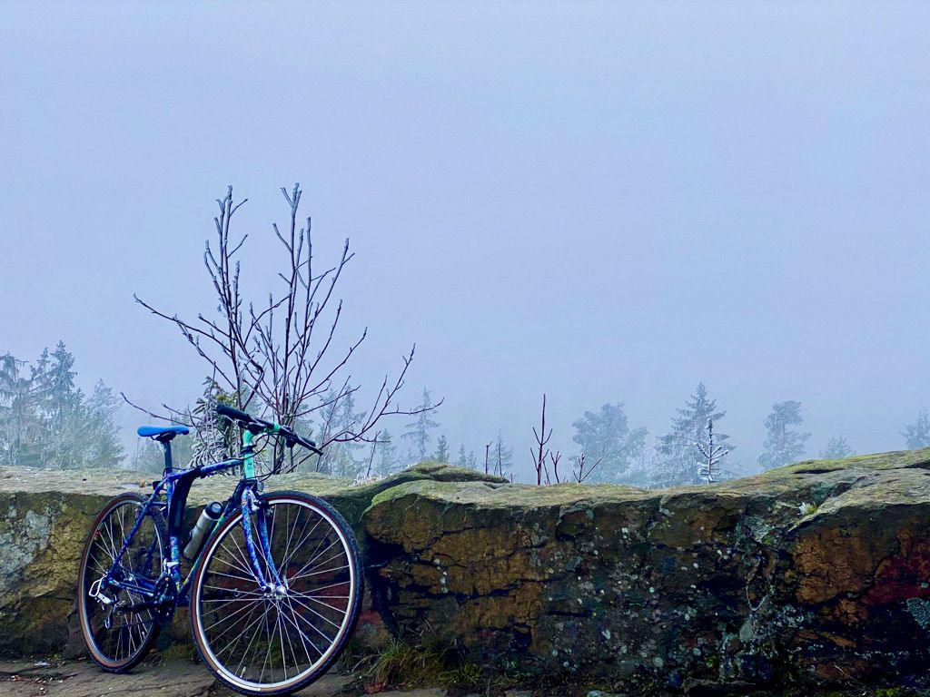 Jahr 2020 - 1109.jpeg