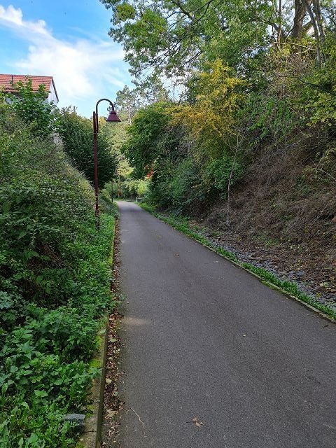 k-20221005_123553.jpg
