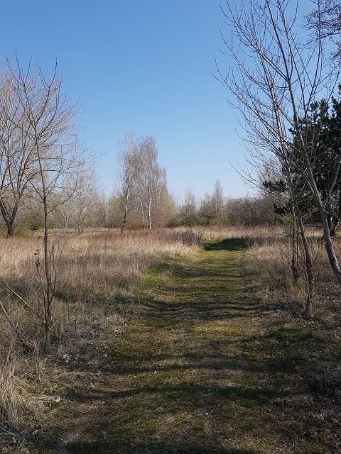k-IMG_20200408_110536.jpg