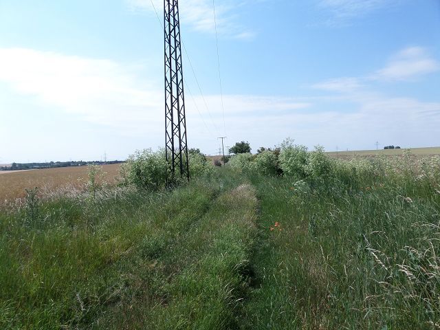k-SAM_2123.JPG