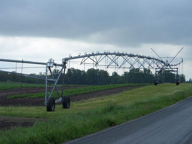k-SAM_2809.JPG