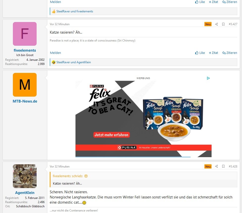 Katze.jpg
