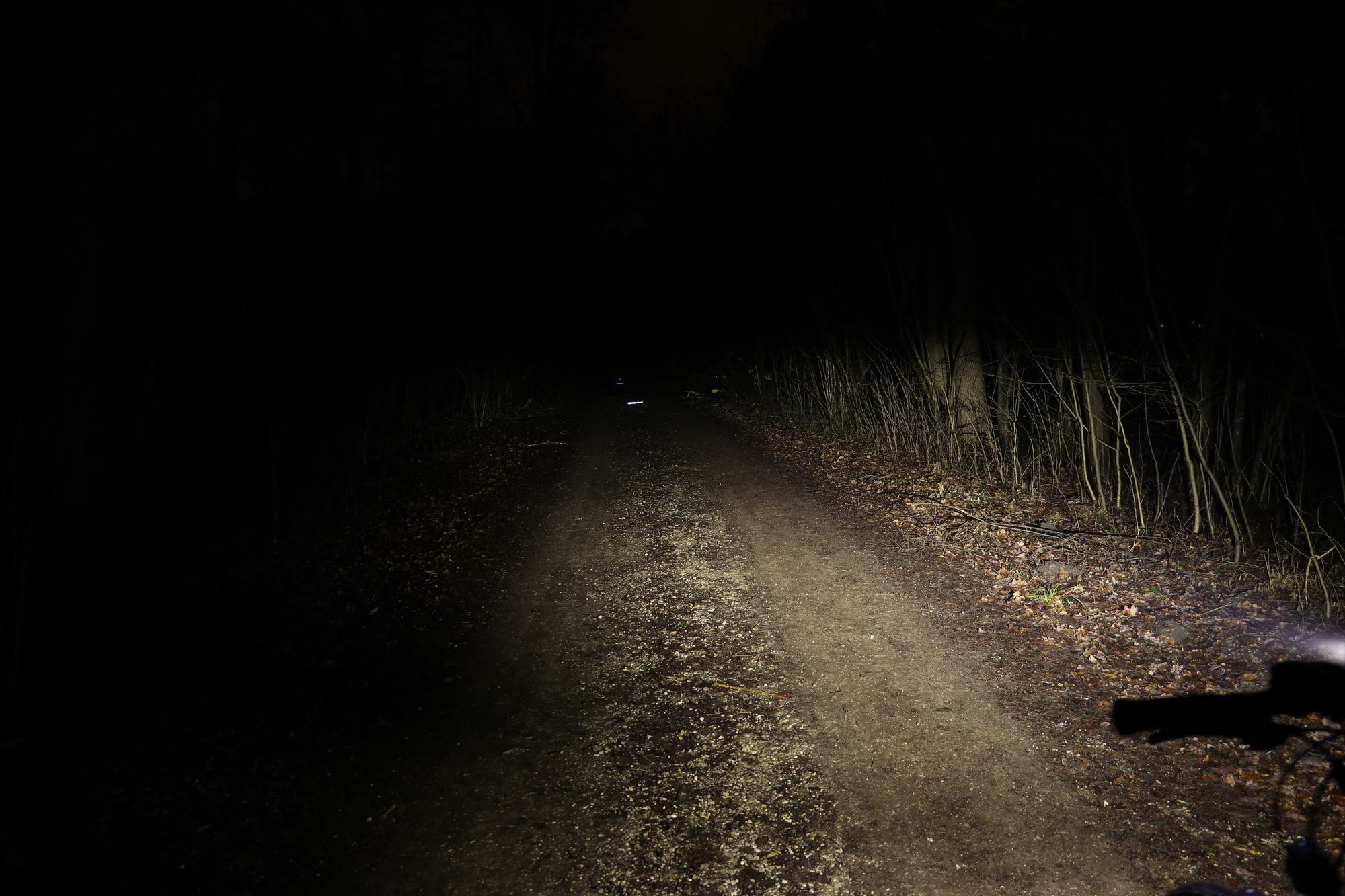 kl_OL10W 20190202200902_IMG_0280.jpg