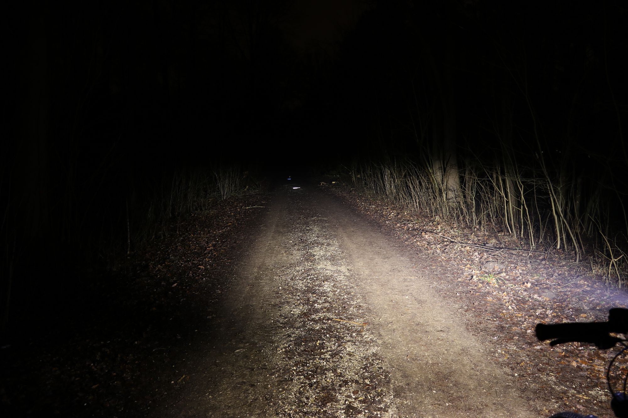 kl_OL17W 20190202200813_IMG_0279.jpg