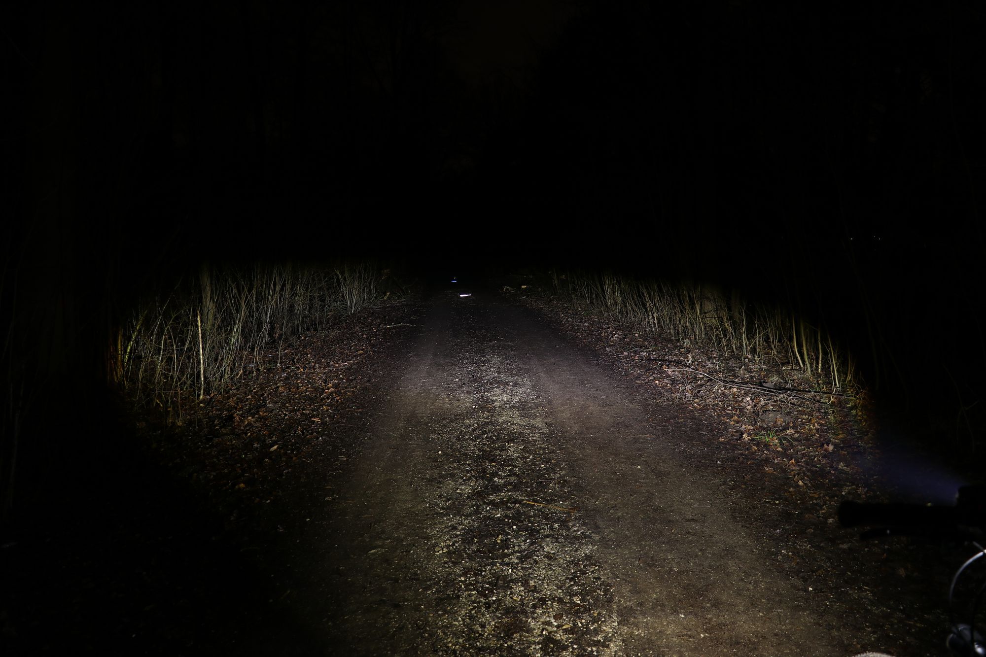 kl_SL-F 8W ABL 20190202200452_IMG_0276.jpg