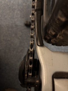 Klein (IMG_5088).jpeg