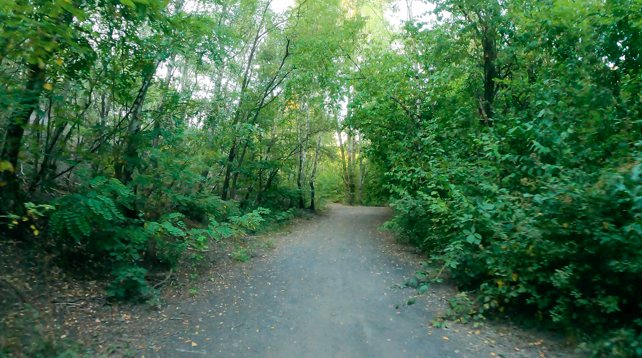 km150-berghalde-viktoria.png