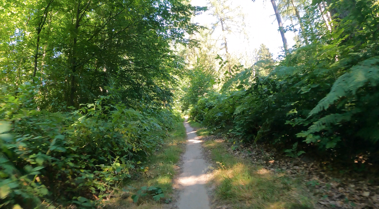 km70-lauterbach.png