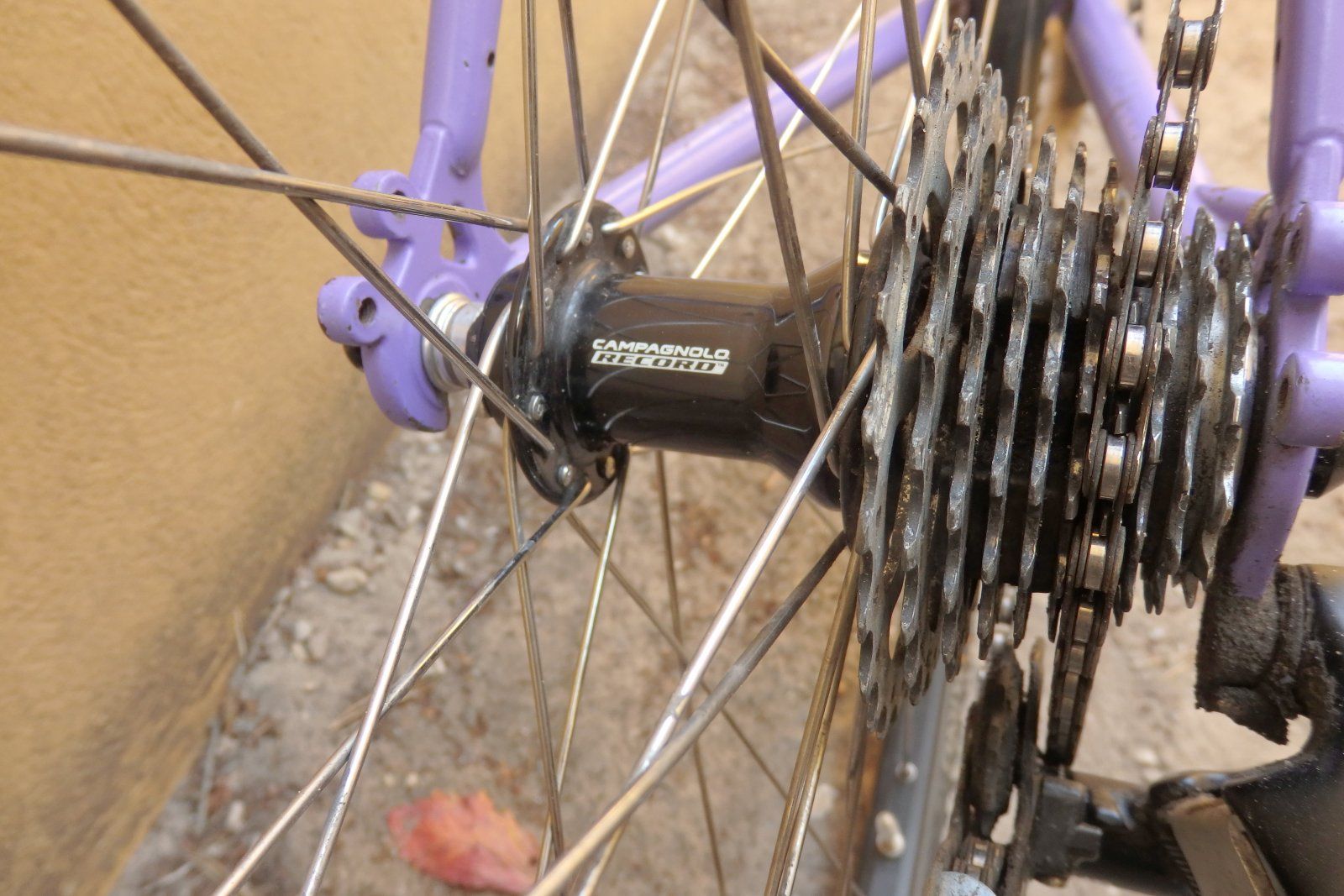 kuwahara_hi-pacer.7.jpg