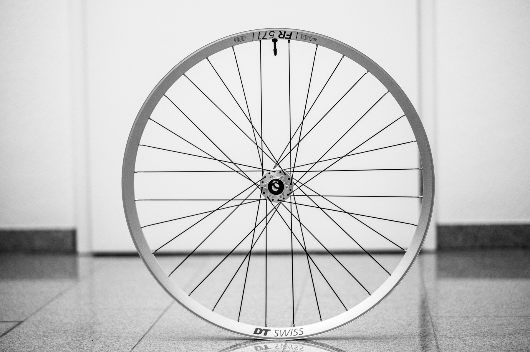 L1004583_comp.jpg