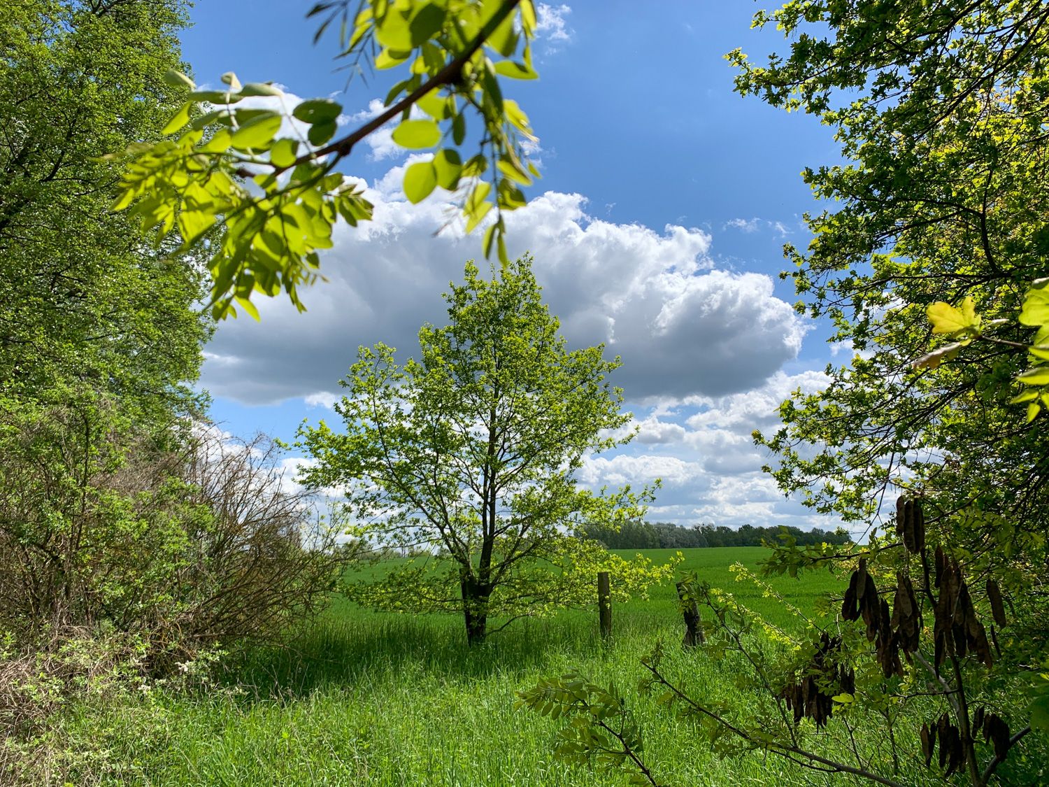 Landpartie-08.jpg
