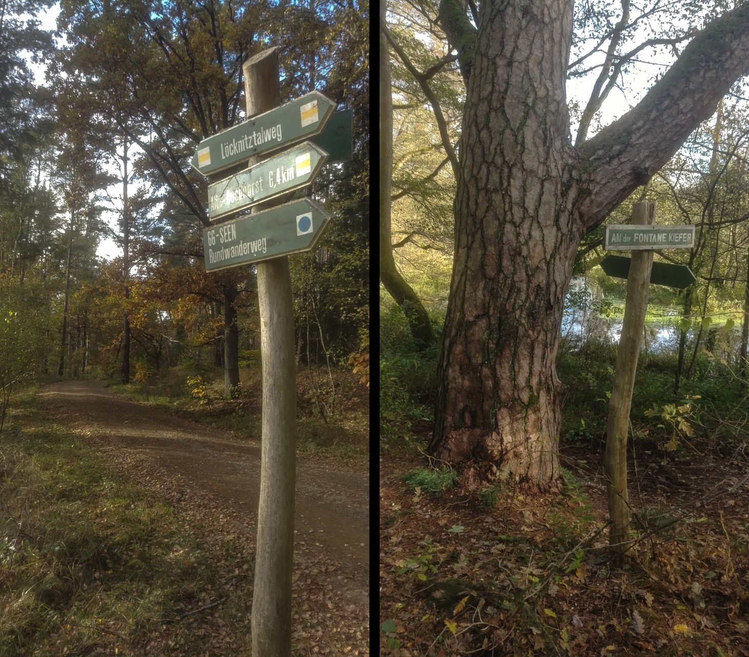 Löcknitztrail1.jpg
