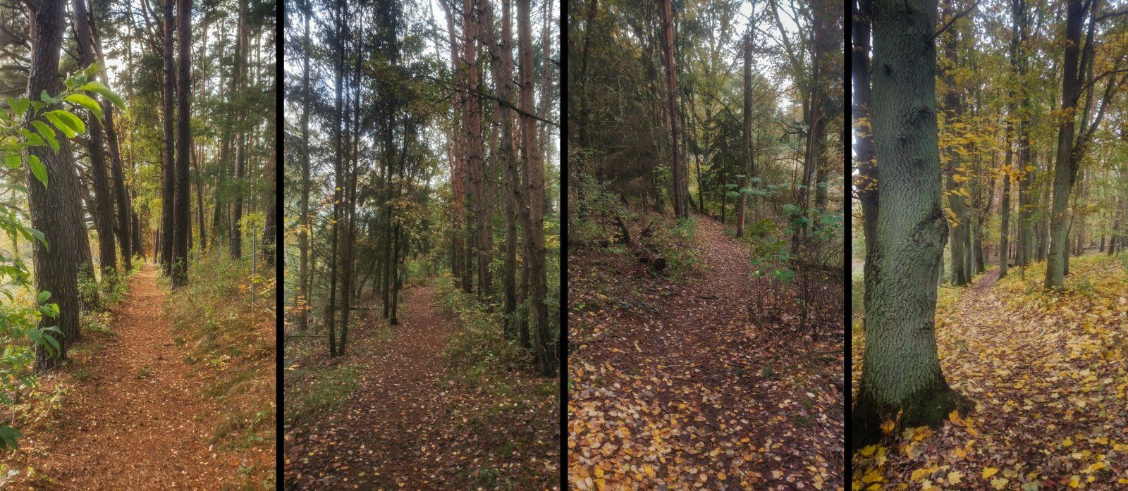 Löcknitztrail2.jpg