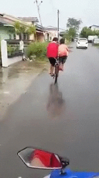 lWeUm3HRhkhvG.gif