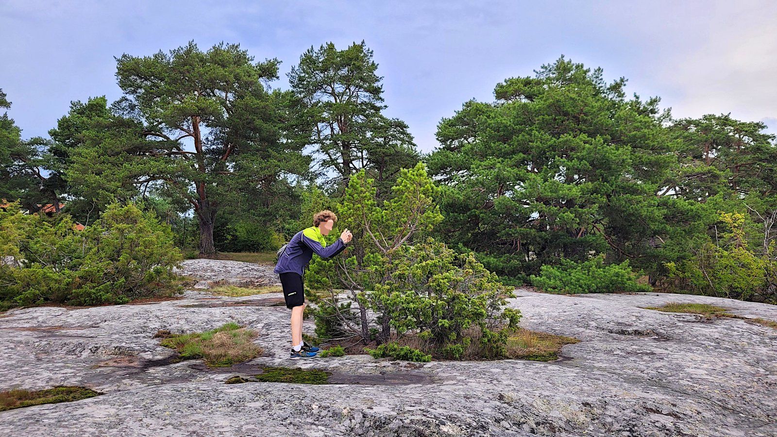 M Heide2.jpg