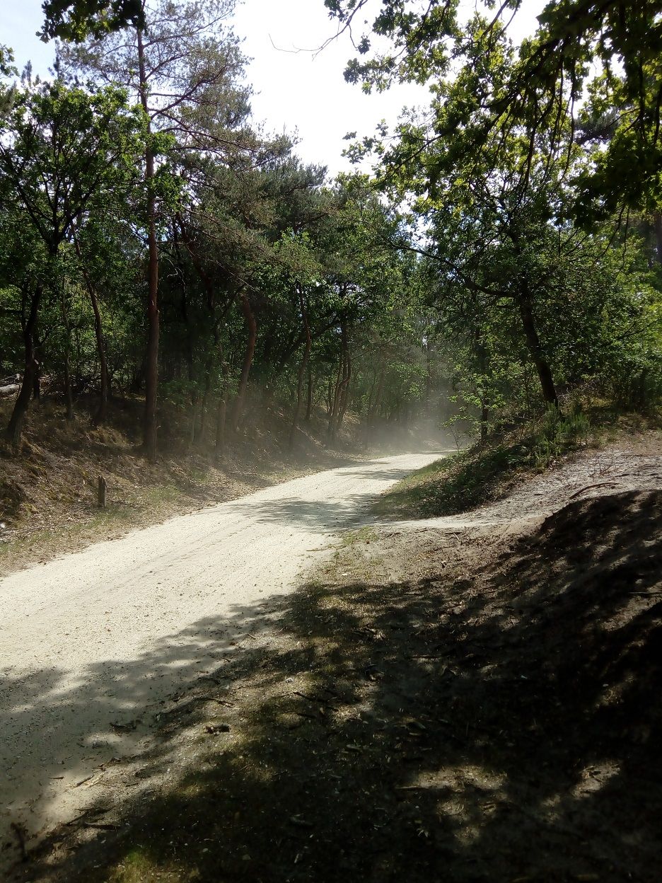 maasduinen 1.jpg