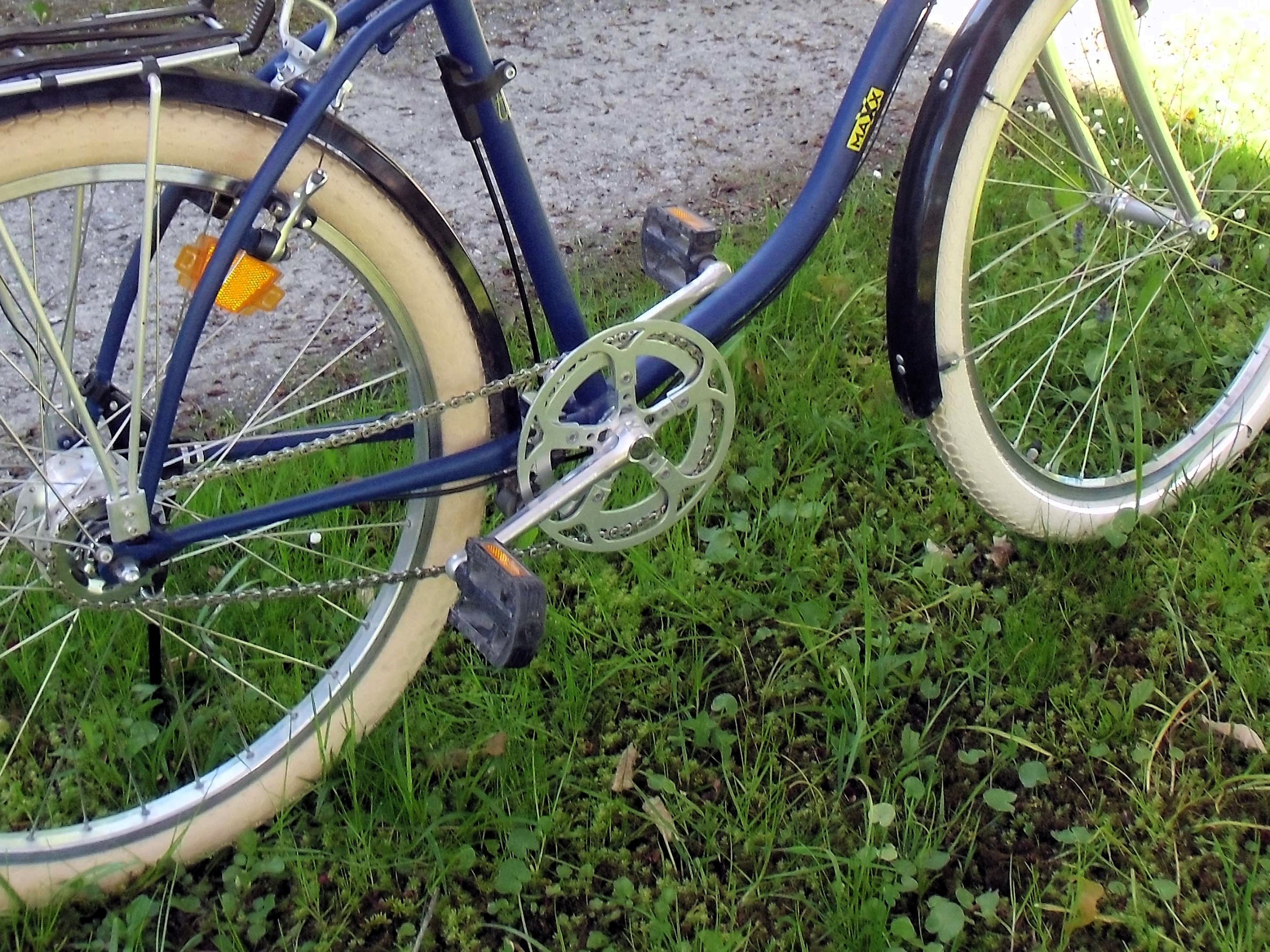 Maxx-Cruiser.jpg