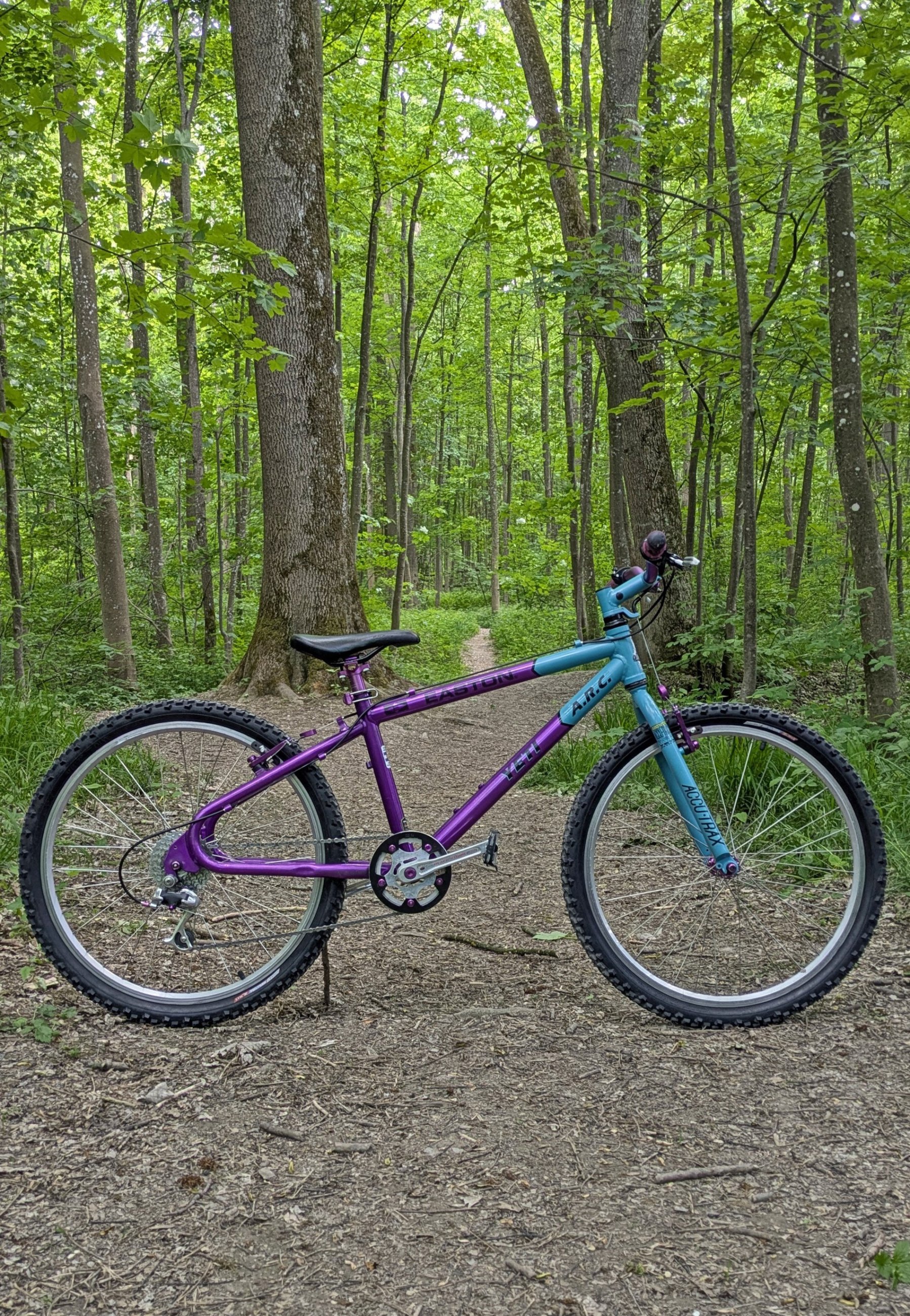 Mini YETI 1e.jpg