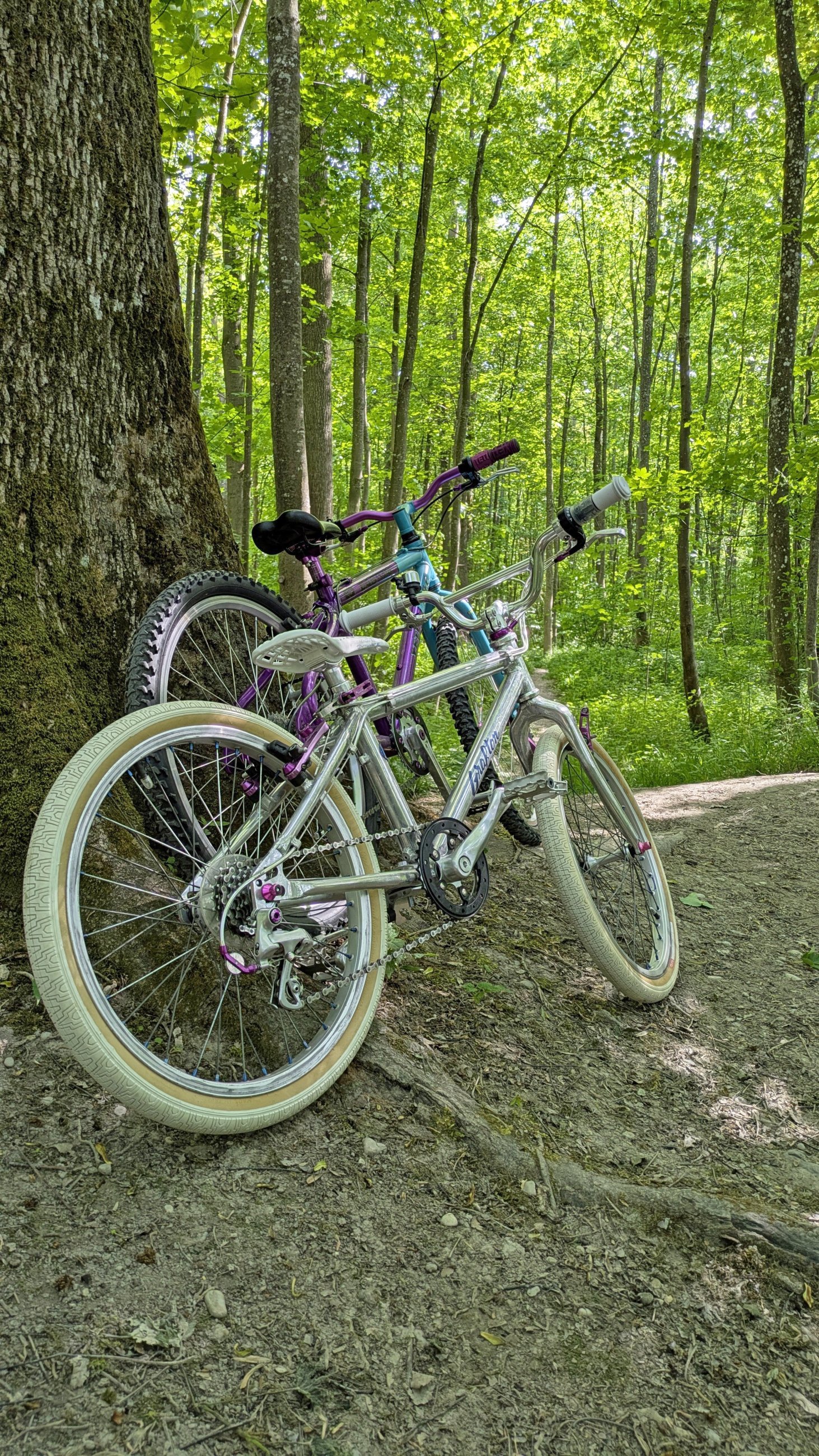 Mini YETI 20ag.jpg