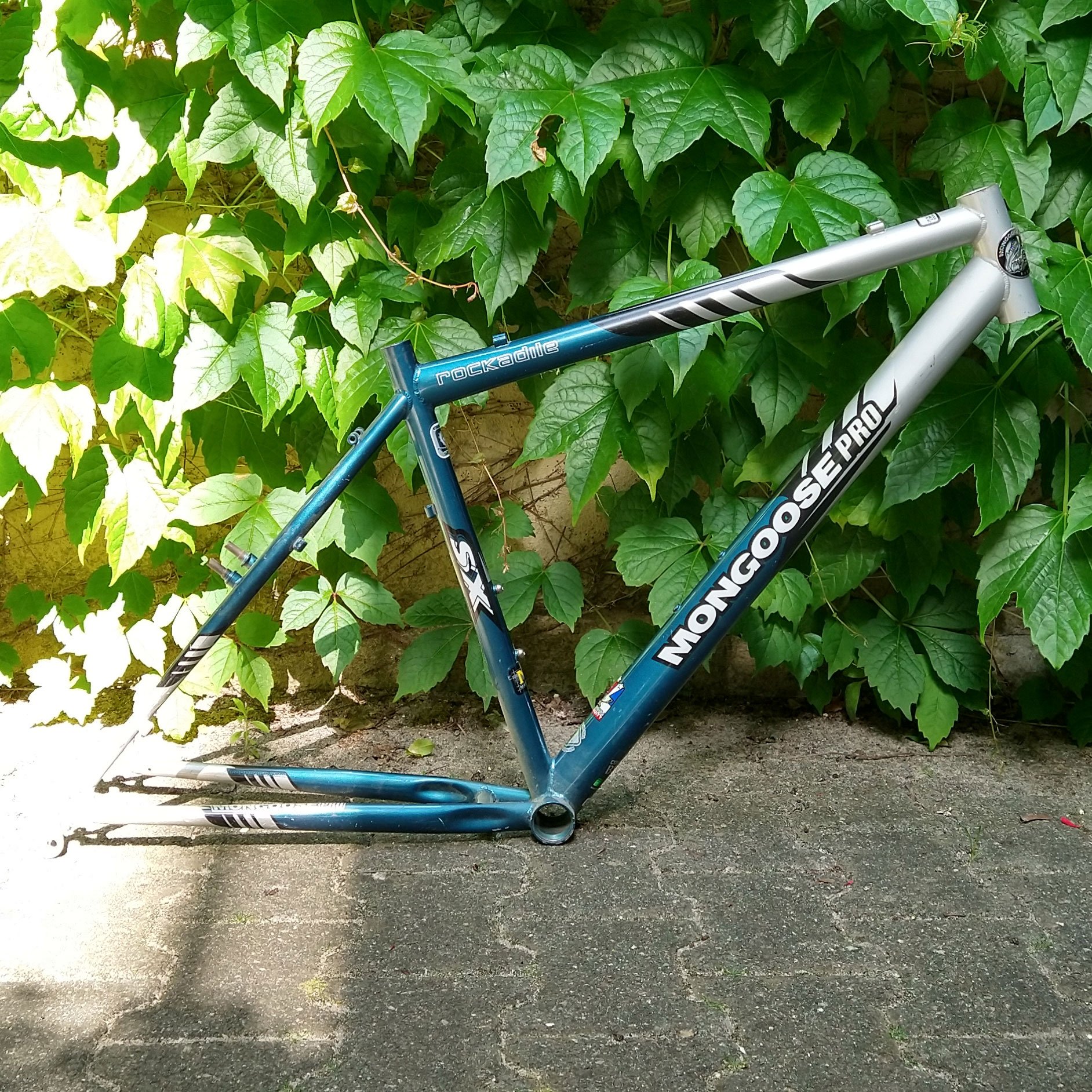 mongoose1.jpg