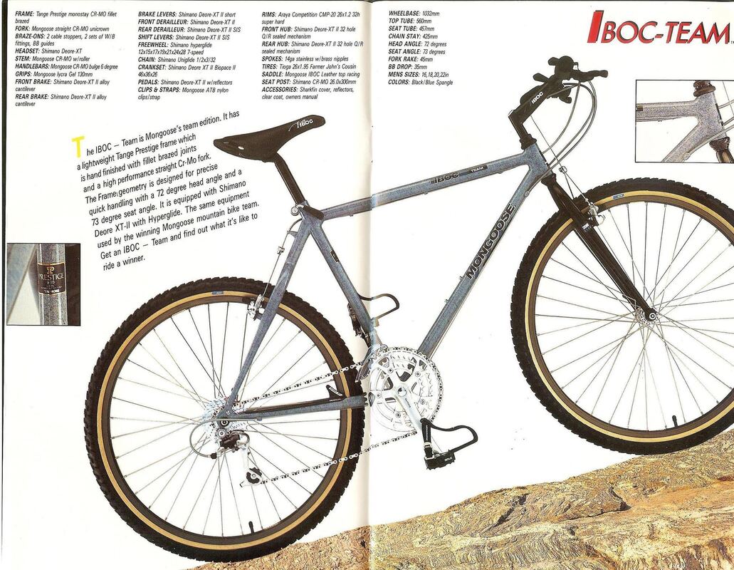 Mongoose_IBOC_Team_89.JPG