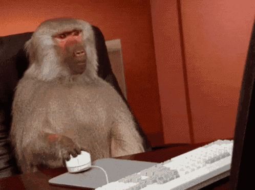 monkey-computer.gif
