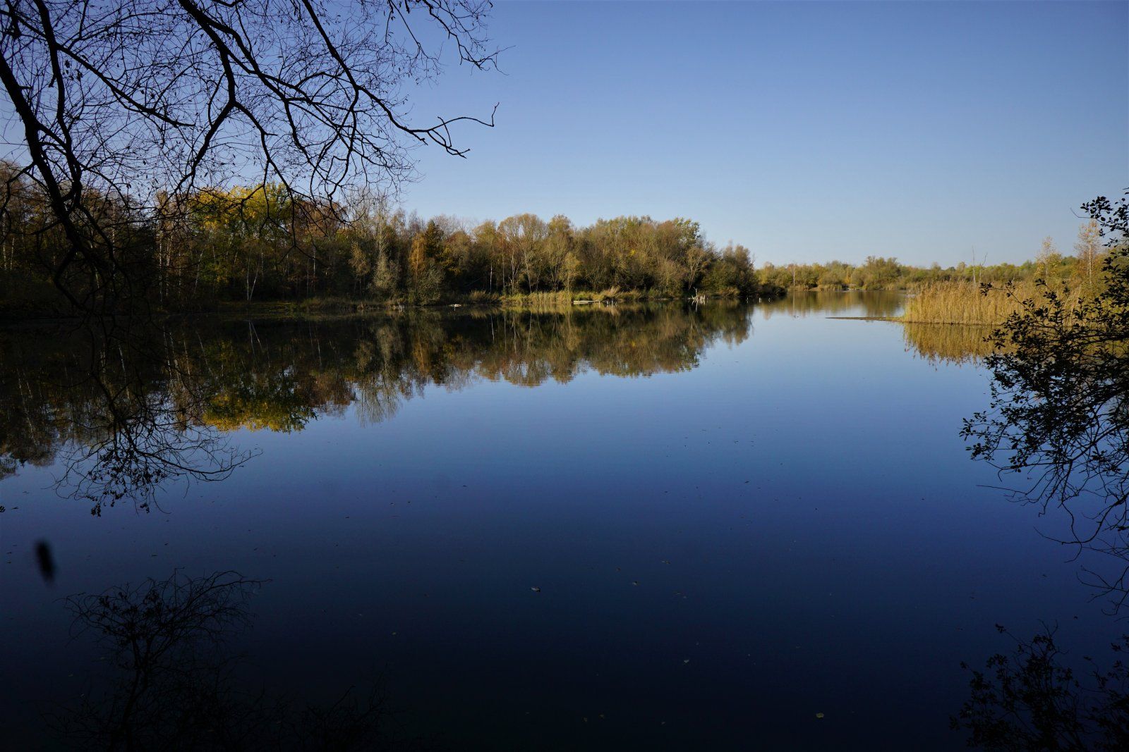 Moorhüttensee.jpg