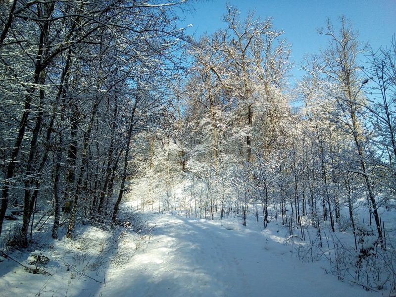 morgensonne_20210124.jpg