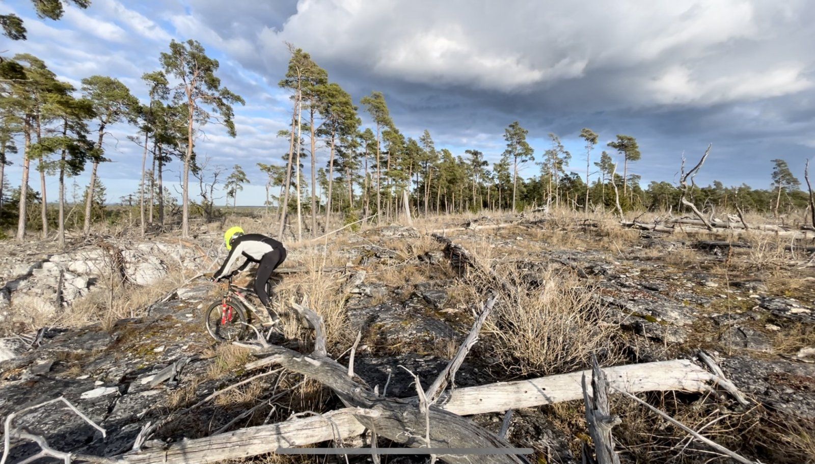 MTB-Torsburgen-Felsgraben.jpg