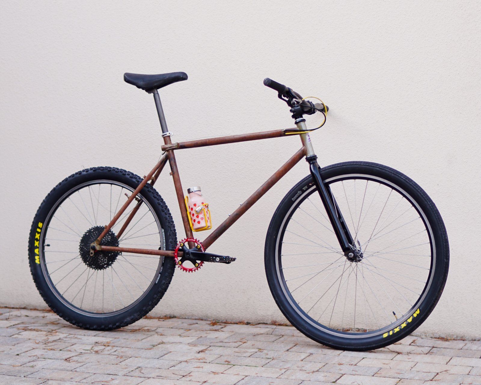 Mullet-69er-Ratbike - 1 (4).jpeg