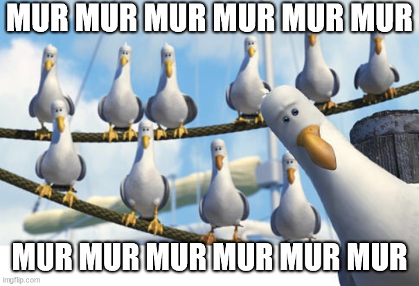 murmur.jpg