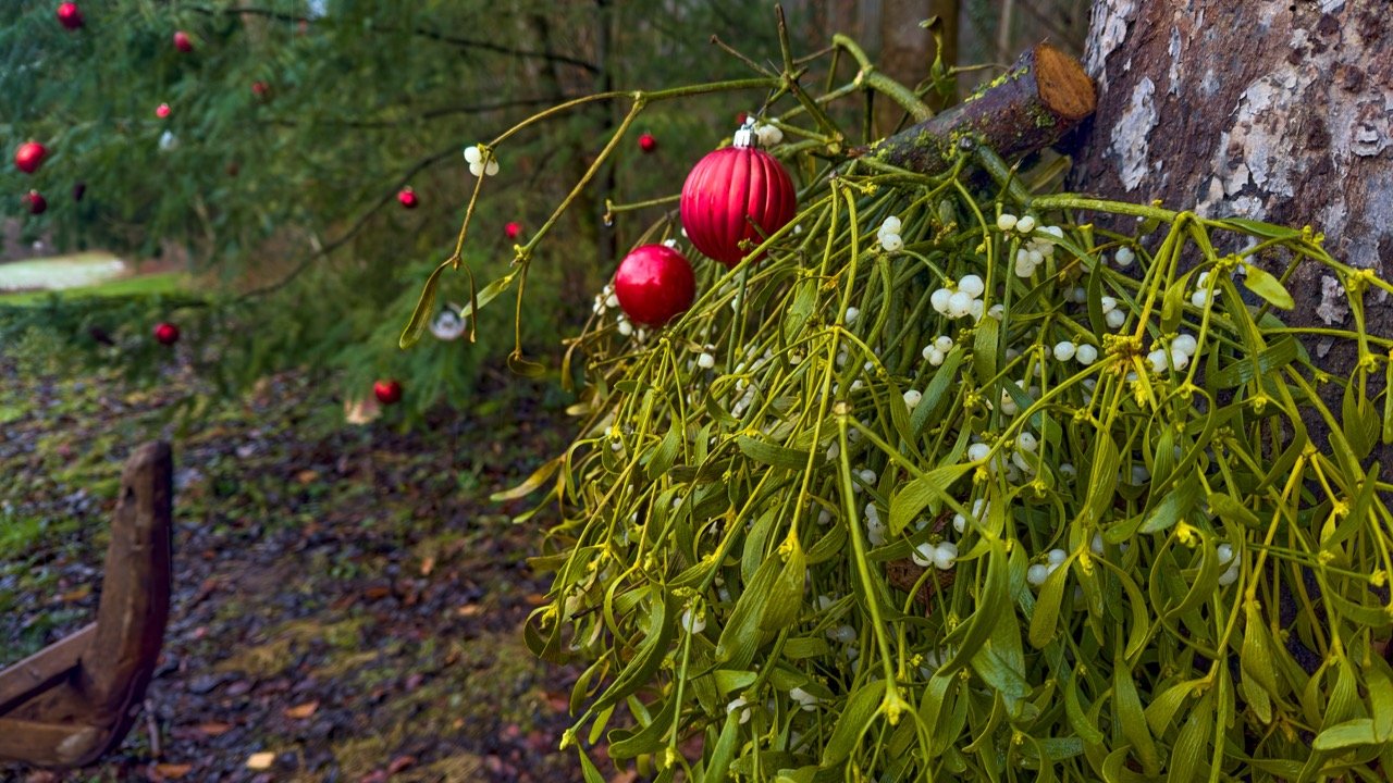 Neustart 2026_07.jpeg