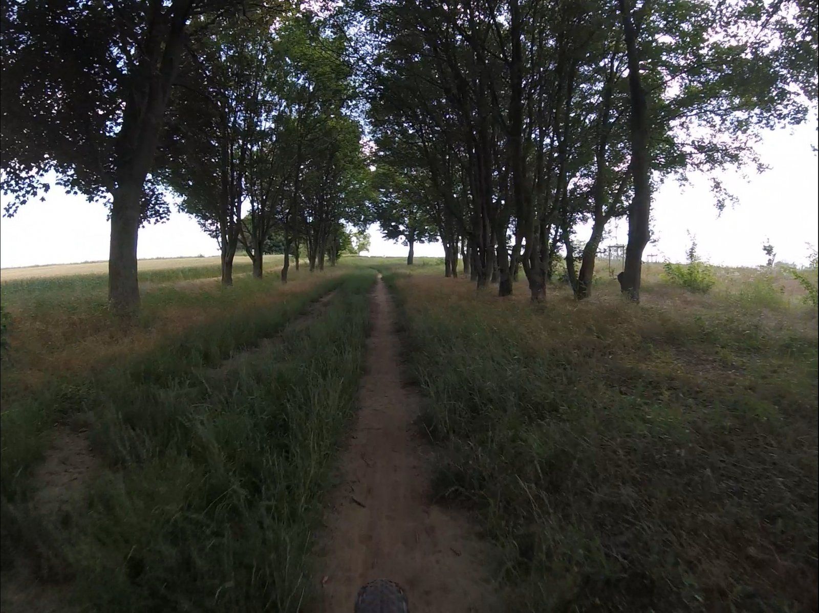 NGR 2021 - Bliss 2 (durch da!).jpg