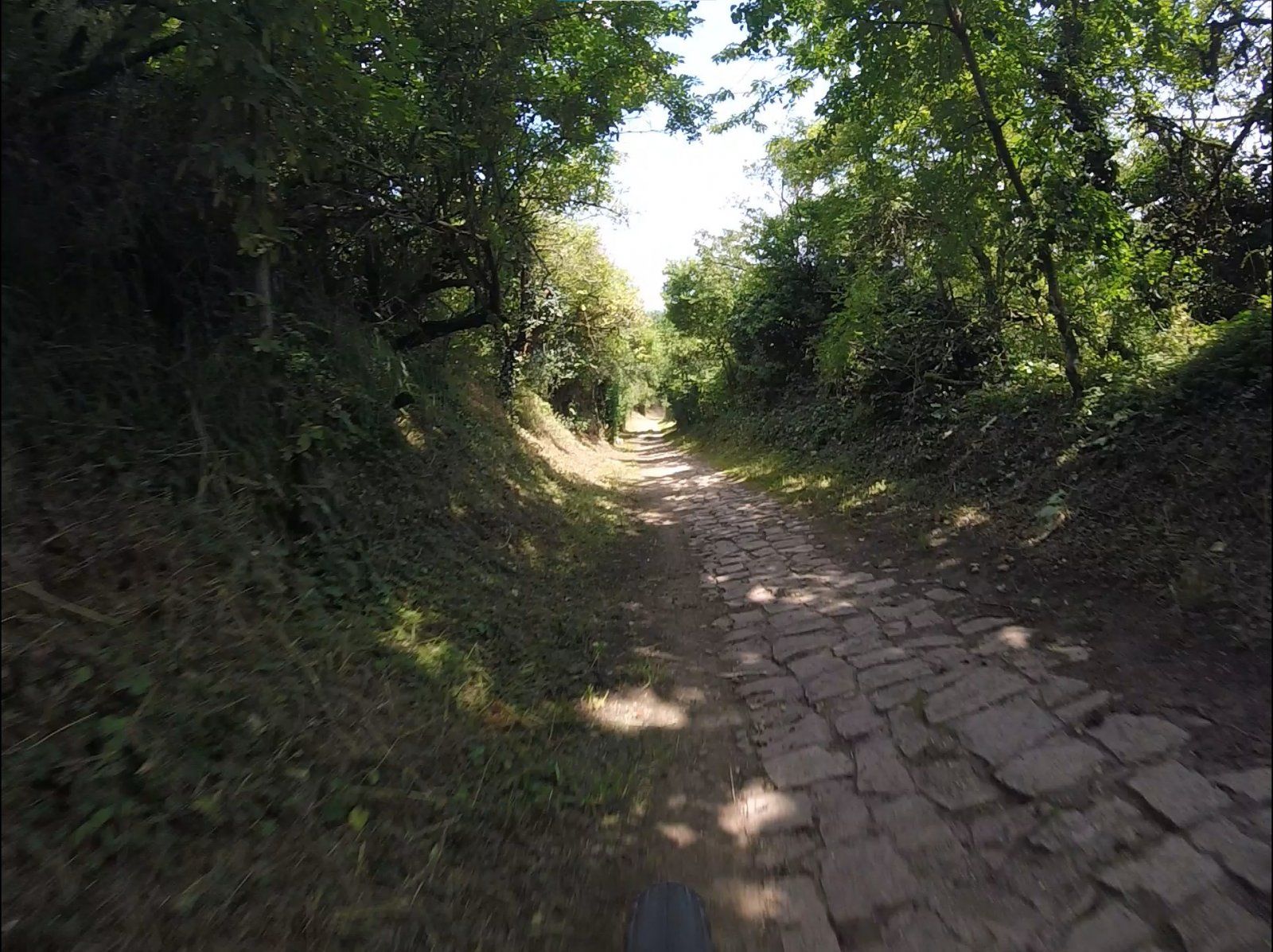 NGR 2021 - Bliss 3 (laufen lassen!).jpg