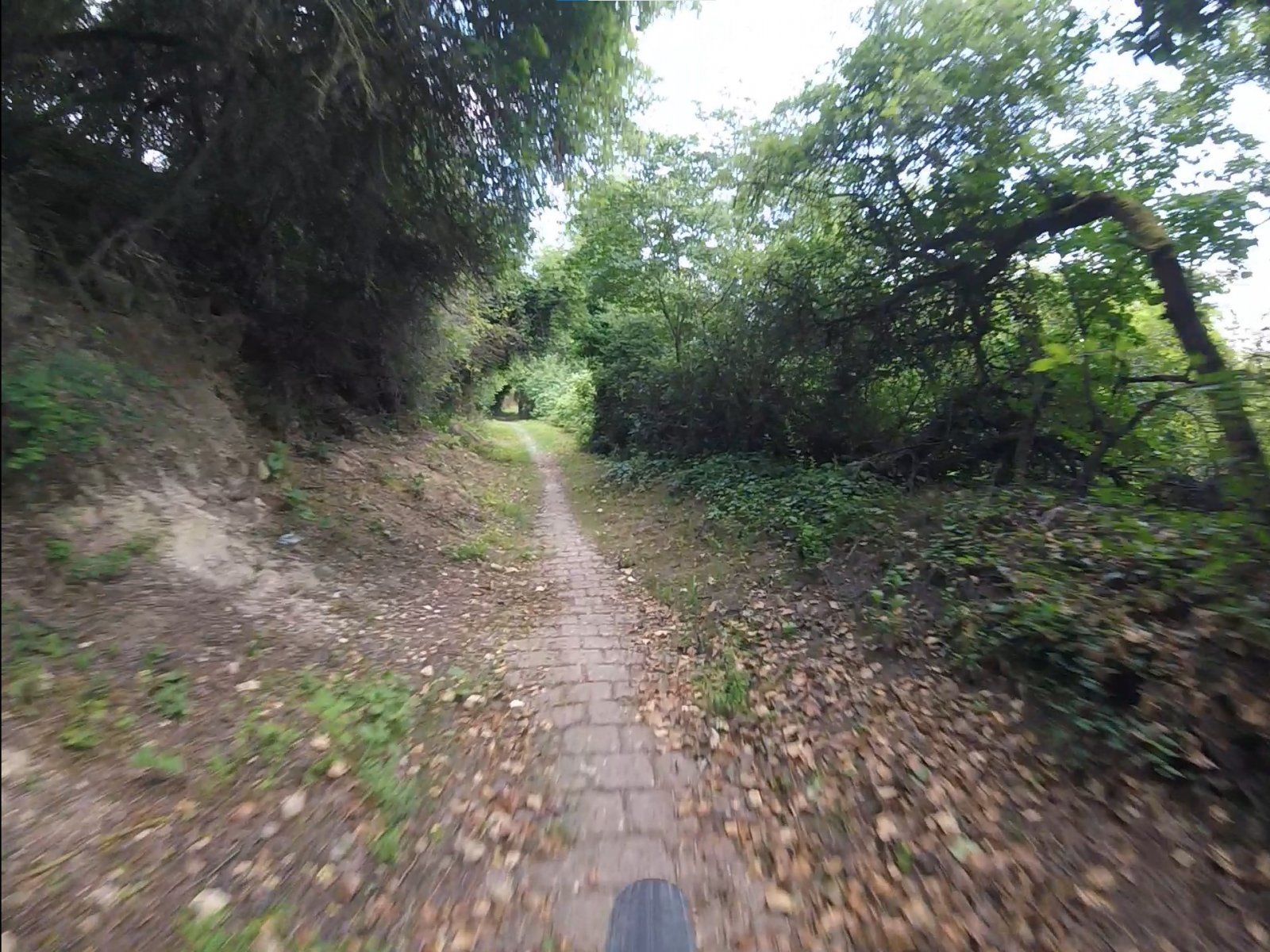 NGR 2021 - Bliss 4 (laufen lassen!).jpg