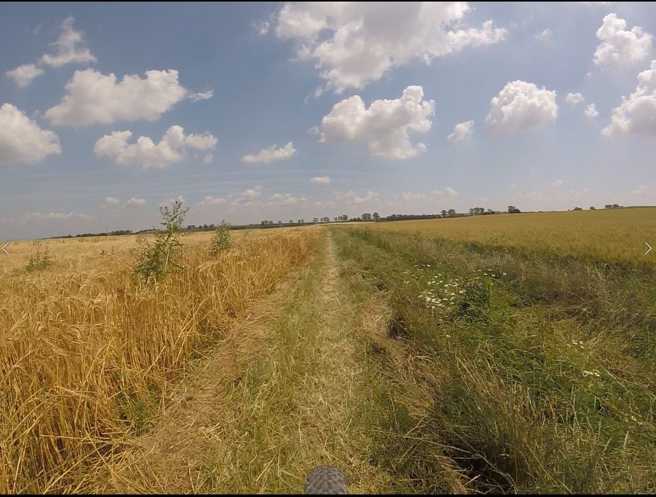 NGR 2021 - Bliss (durch da!).jpg