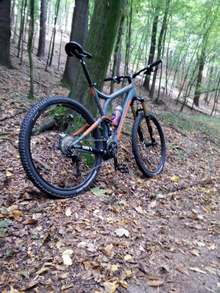 Niner RIP 9 Carbon 2.jpg