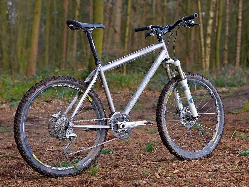 Obed Fox 02b.jpg