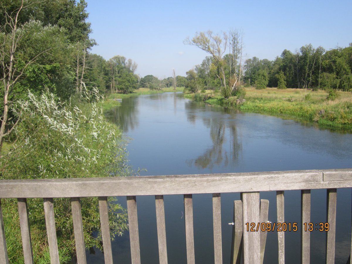 Oder-Spree-Kanal 147.JPG